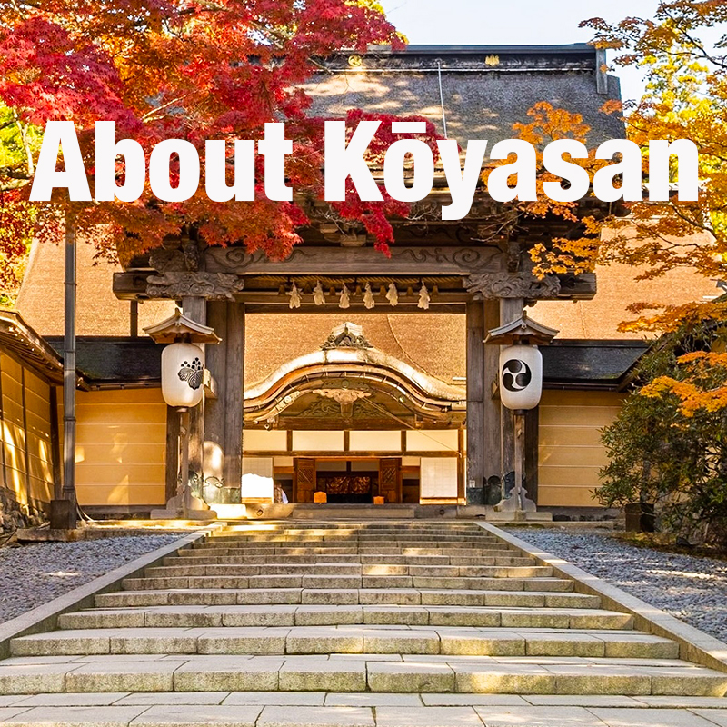 clickable button linking to the About Koyasan page