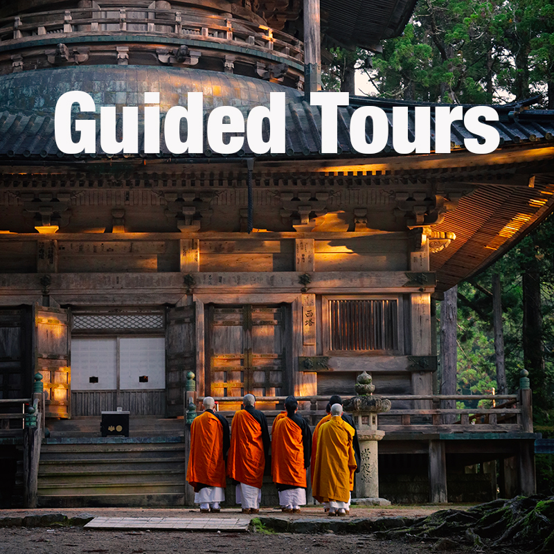 clickable button linking to the Guided Tours page